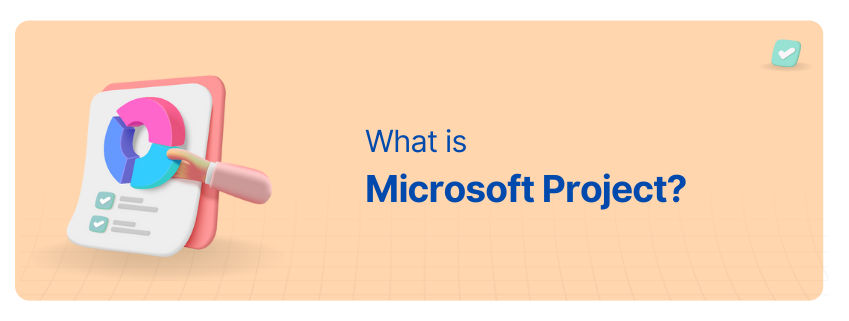 What is Microsoft Project? Features, Benefits, Importance