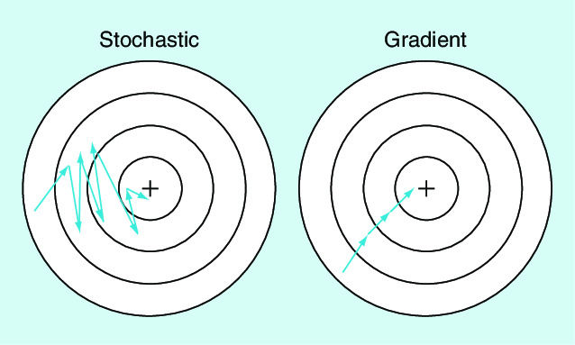 A diagram comparing Stochastic and Batch Gradient Descent paths on a contour plot A diagram comparing Stochastic and Batch Gradient Descent paths on a contour plot