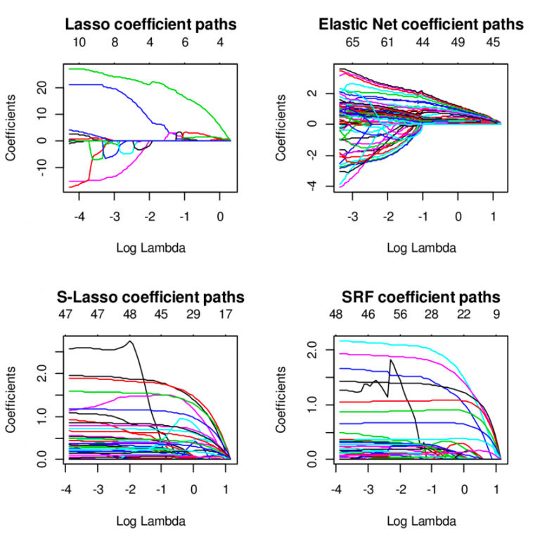 Elastic Net Regression