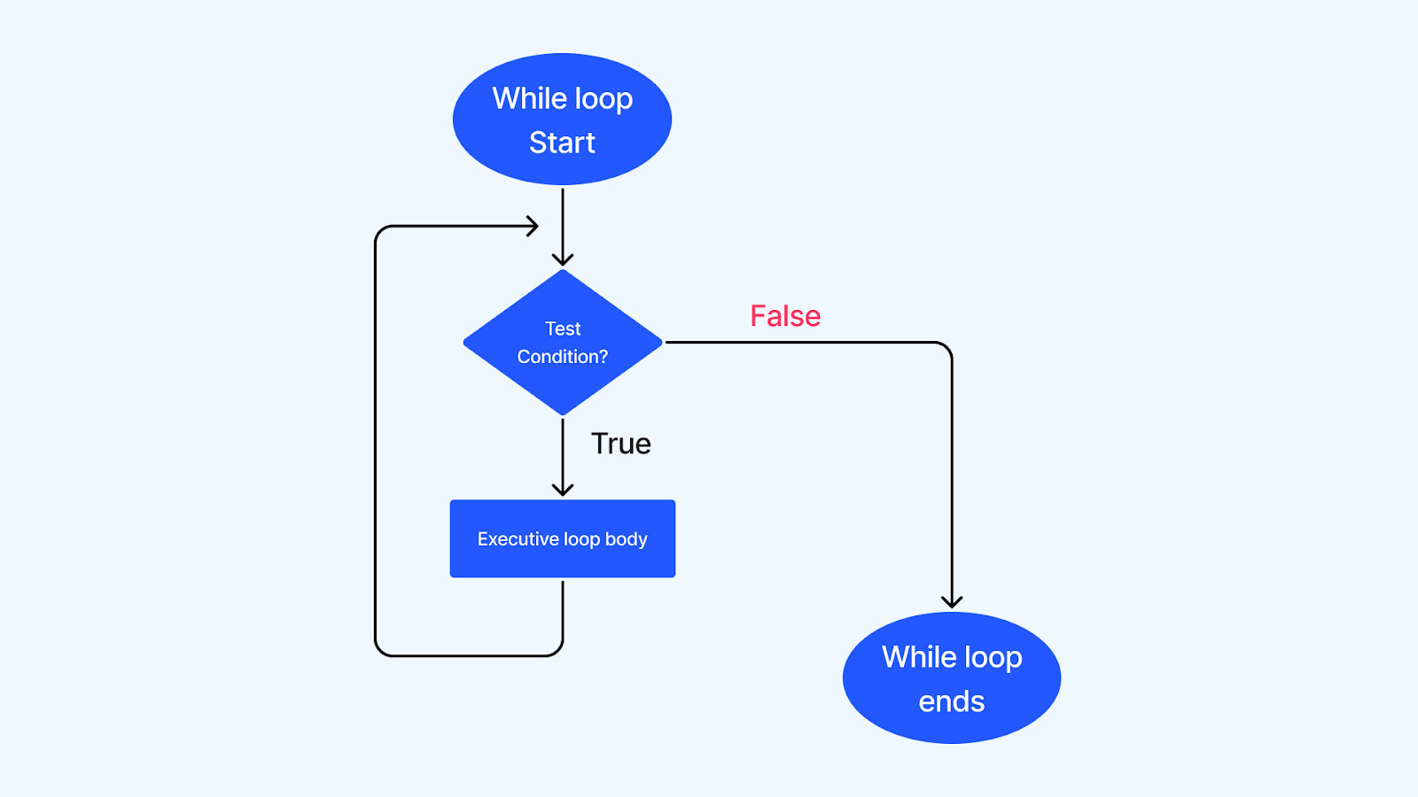 while loop while loop