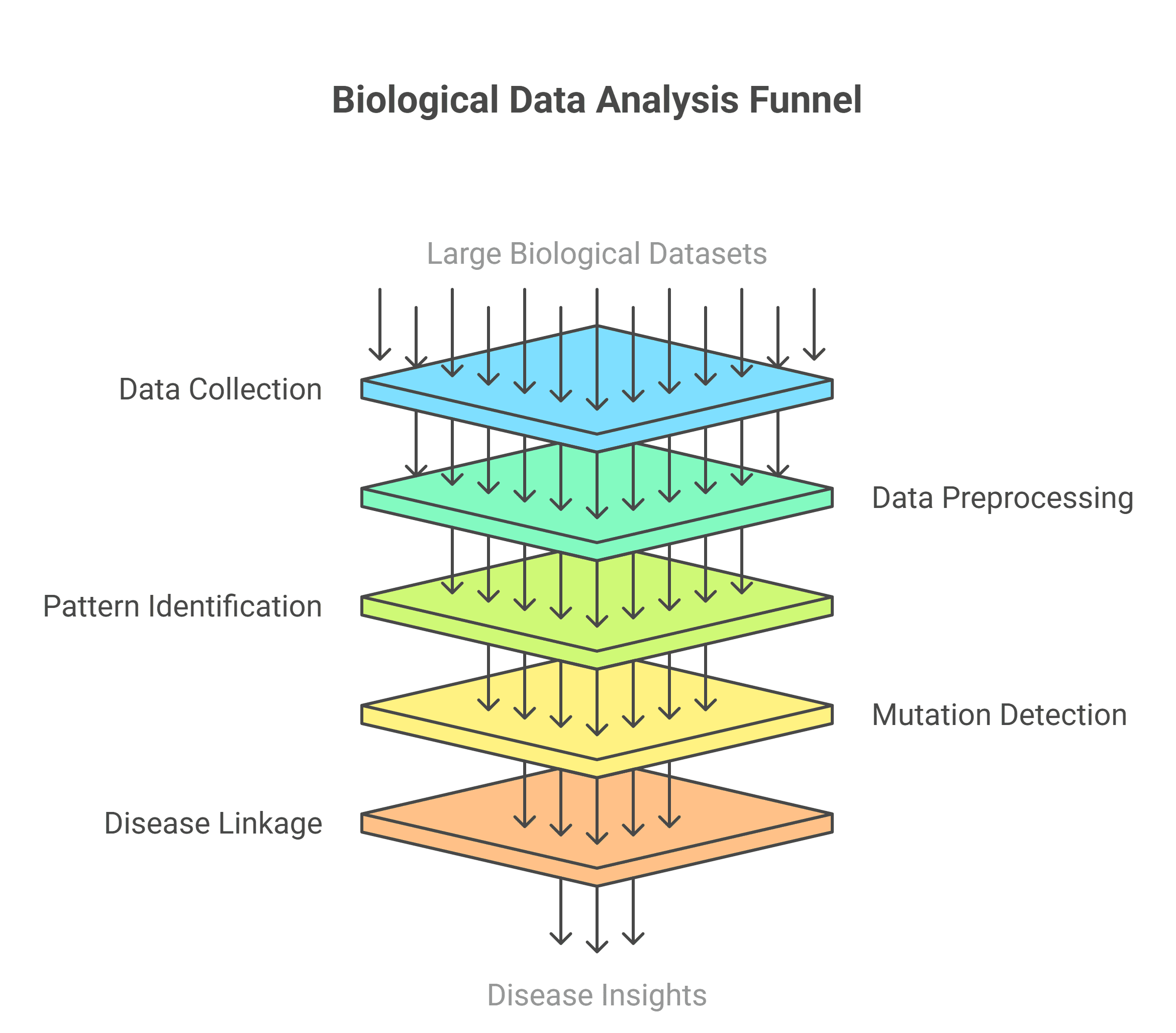 Biological Data Analysis Funnel Biological Data Analysis Funnel