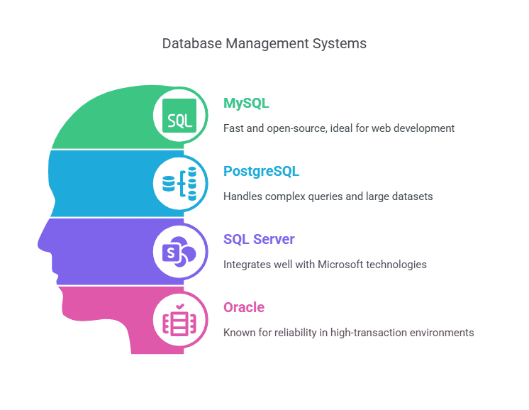 Database Management Systems Database Management Systems