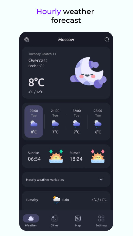 Hourly Weather Forecast