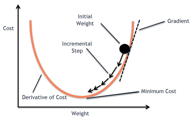 A 2D plot illustrating the gradient descent process with initial weight and incremental steps. A 2D plot illustrating the gradient descent process with initial weight and incremental steps.