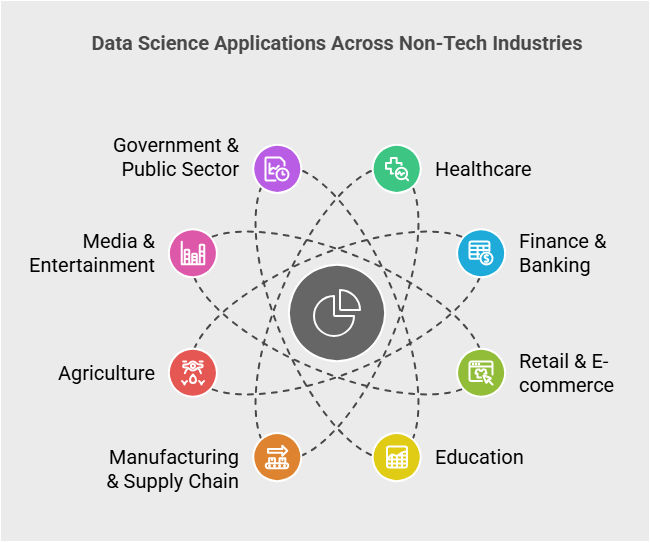 Data Science Applications Across Non-Tech Industries