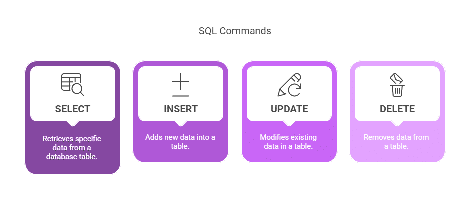 SQL Commands SQL Commands