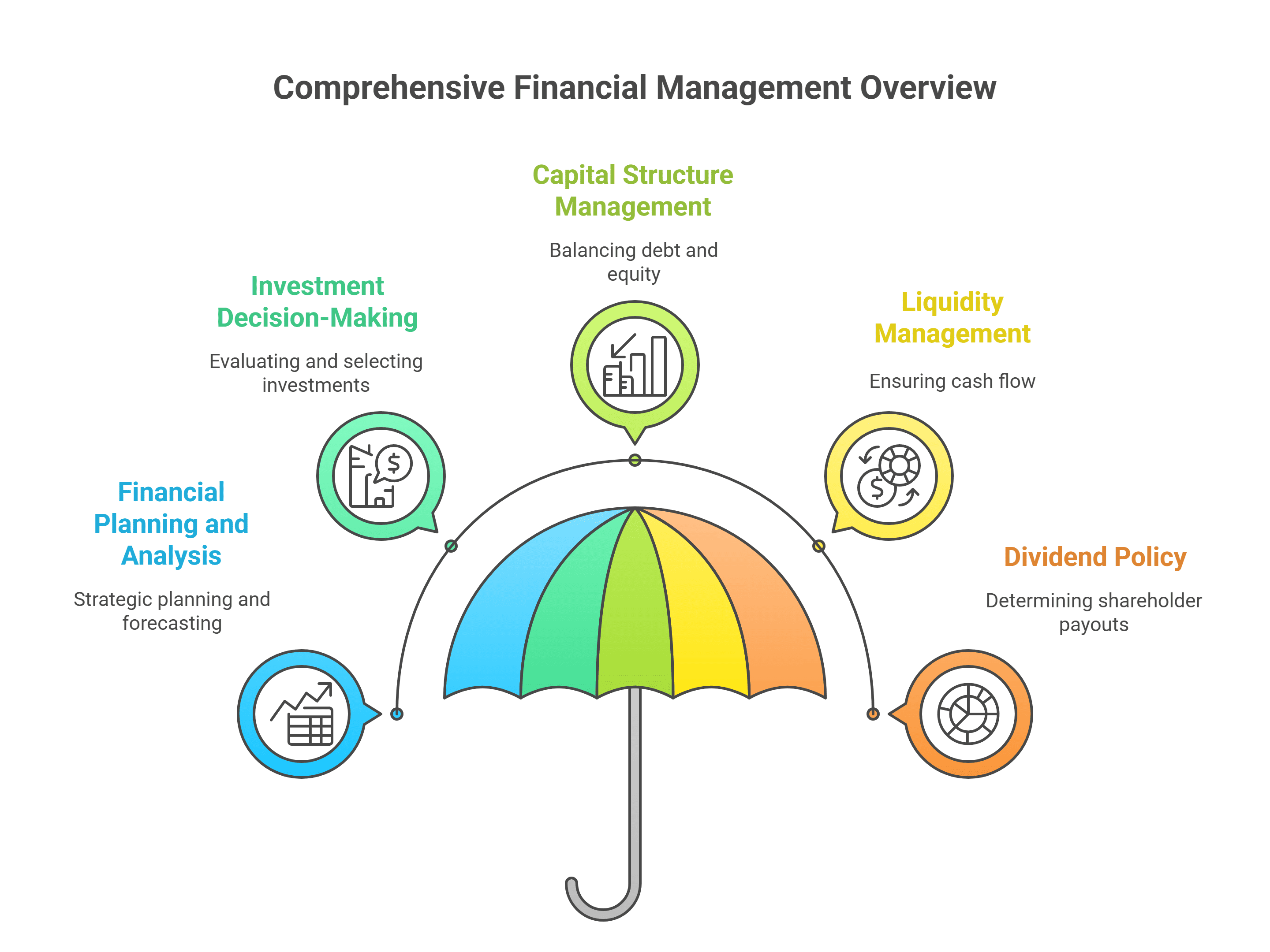 Comprehensive Financial Management Overview