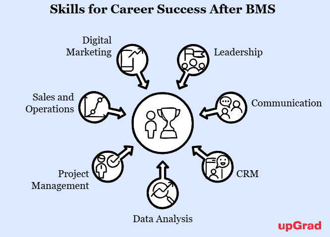Key Skills Required for a Successful Career After BMS