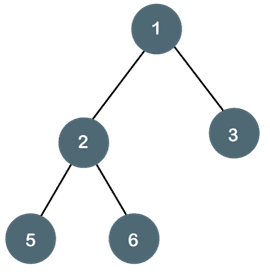 Binary Tree Binary Tree