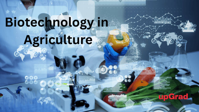Bio Technology in Agriculture 