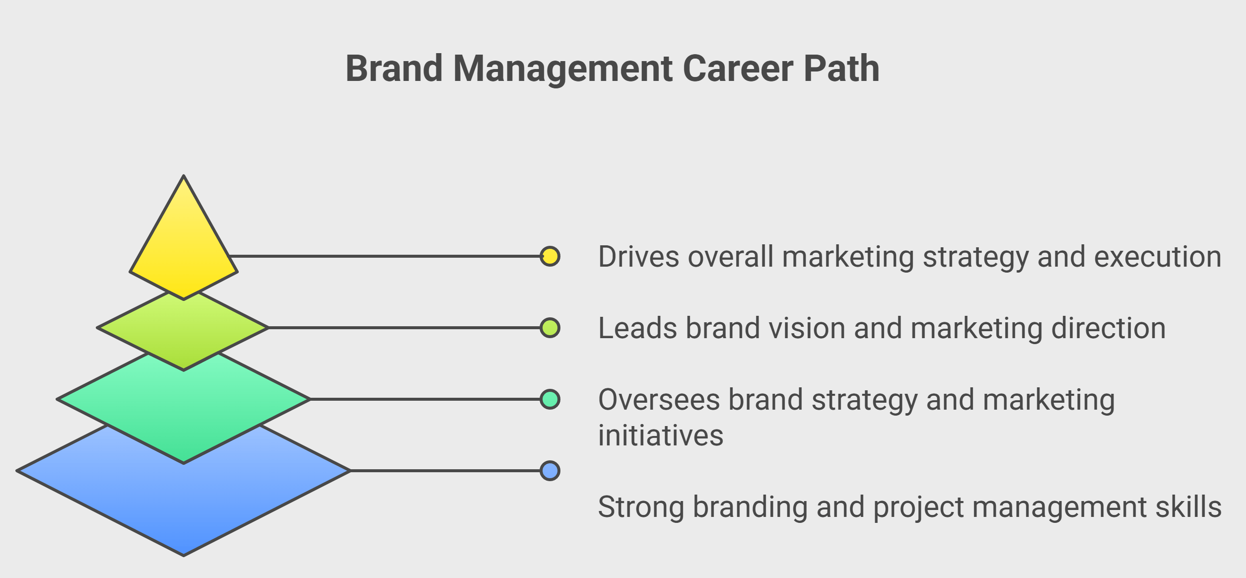 Brand Manager Career Path