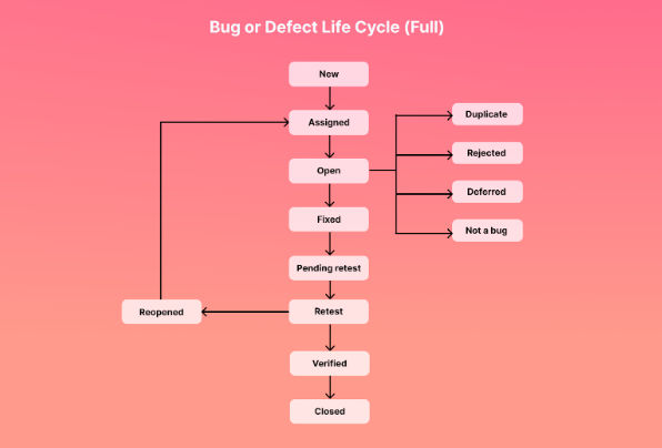bug life cycle