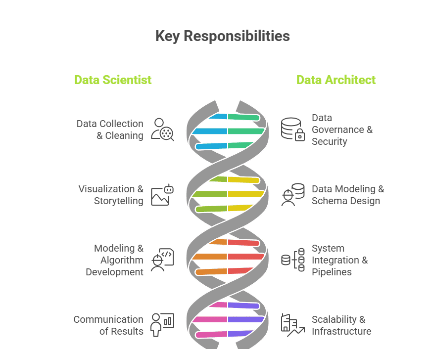Comparison of key responsibilities between Data Scientist and Data Architect roles shown as a DNA helix infographic. Data Scientist responsibilities include Data Collection & Cleaning, Visualization & Storytelling, Modeling & Algorithm Development, and Co Comparison of key responsibilities between Data Scientist and Data Architect roles shown as a DNA helix infographic. Data Scientist responsibilities include Data Collection & Cleaning, Visualization & Storytelling, Modeling & Algorithm Development, and Co