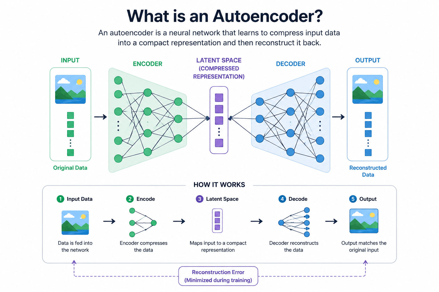 Infographic explaining what an autoencoder is, showing input data compressed by an encoder into a latent space and then reconstructed by a decoder, with a simple step-by-step flow highlighting data compression and reconstruction.