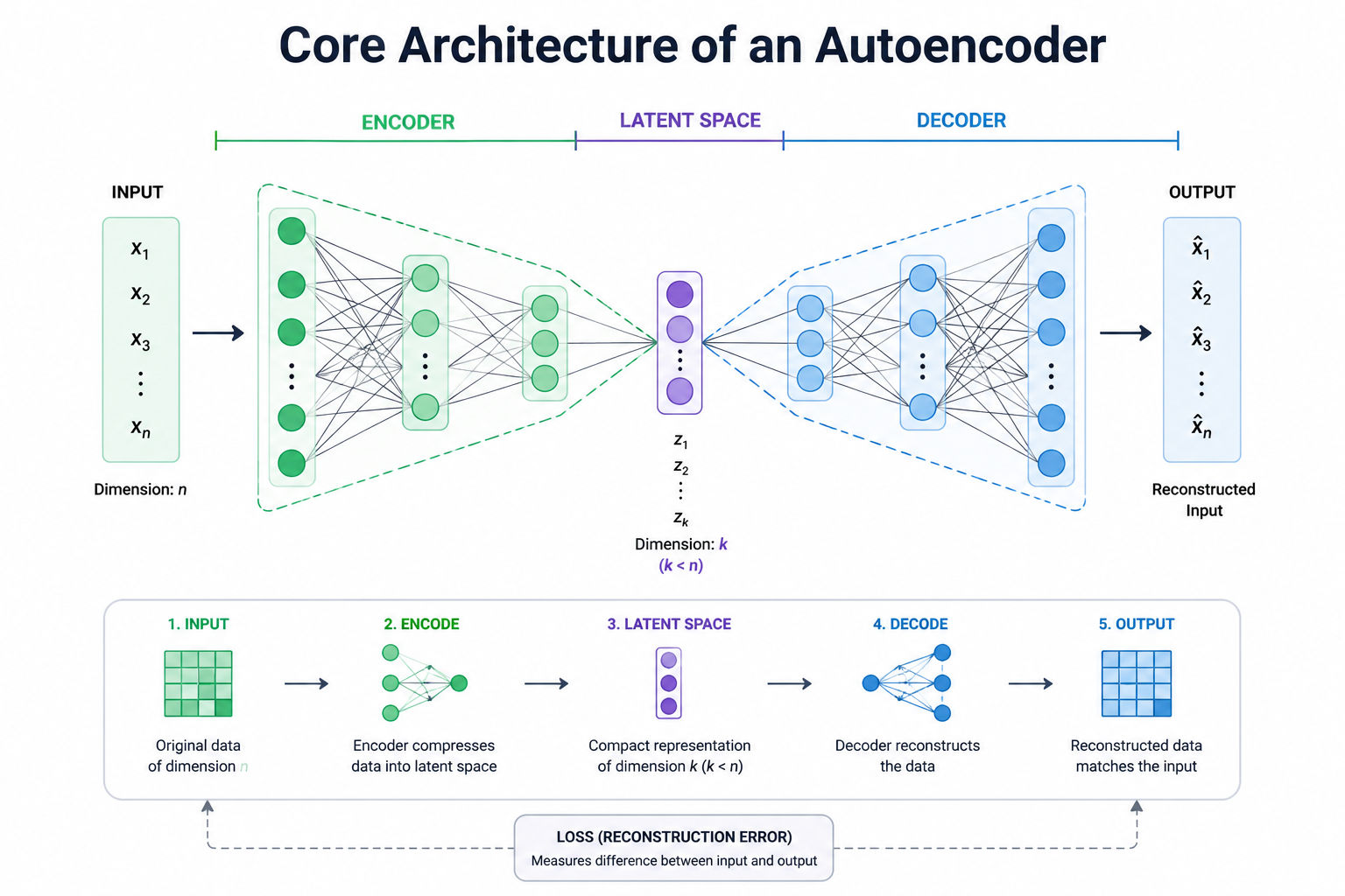 Infographic showing the core architecture of an autoencoder with input data passing through an encoder, compressed into a latent space, and reconstructed by a decoder into output, including a simple flow of encode, compress, decode, and reconstruction. 