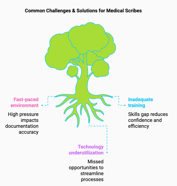 Common Challenges & Solutions for Medical Scribes Common Challenges & Solutions for Medical Scribes