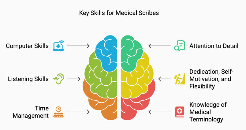 Key Skills for a Medical Scribe Key Skills for a Medical Scribe