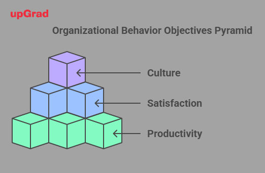 Organizational Behavior Objectives Pyramid