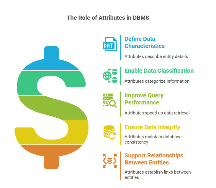 The Role of Entities in DBMS The Role of Entities in DBMS