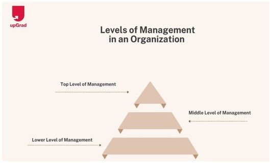 Levels of Management