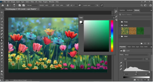 Adobe Photoshop Adobe Photoshop