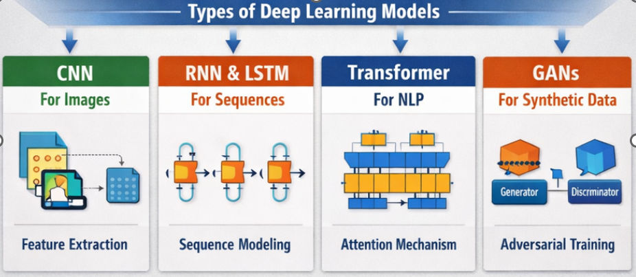 Infographic showing four types of deep learning models Infographic showing four types of deep learning models