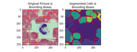 Watershed Algorithm Watershed Algorithm