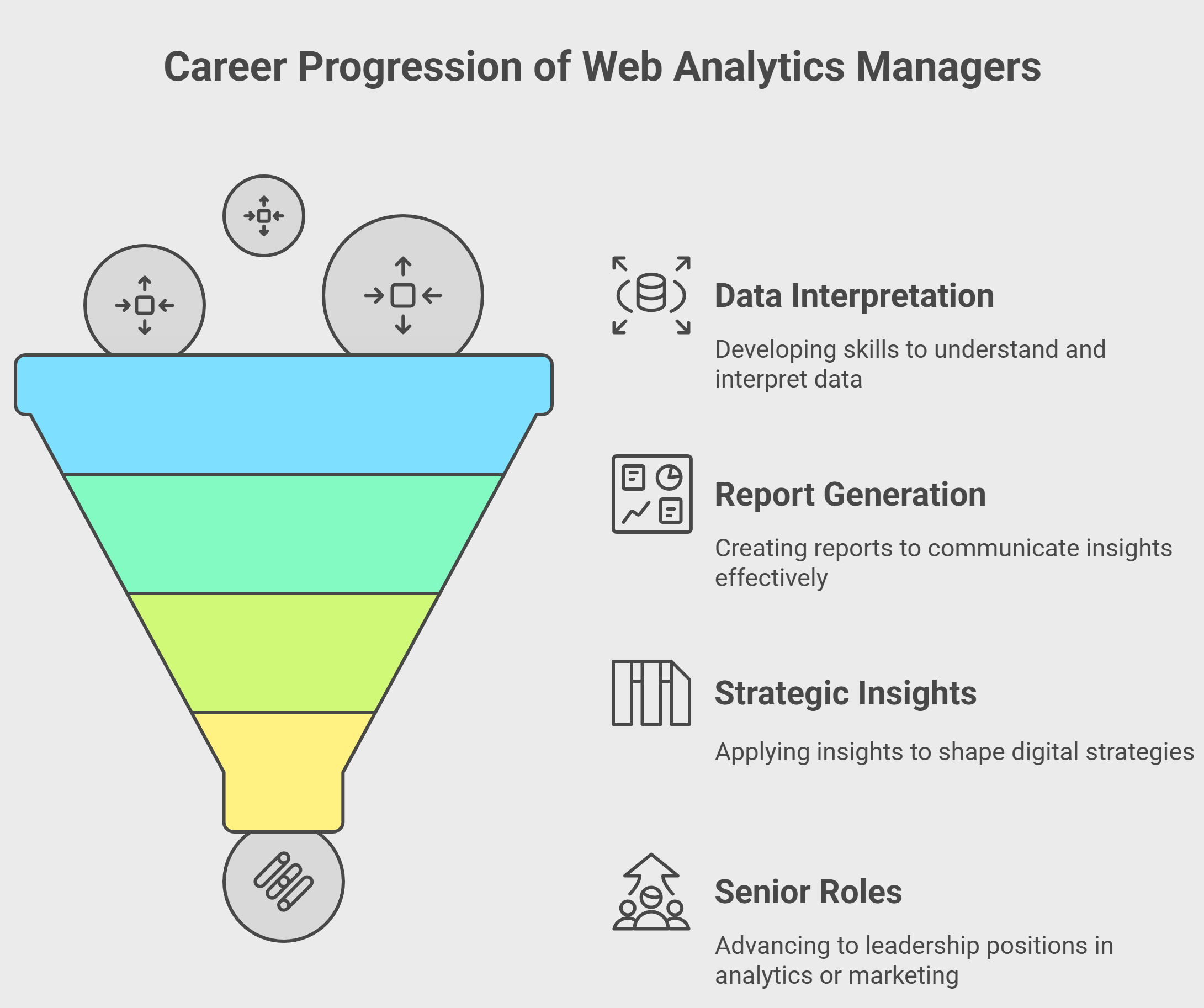 Career Progression of Web Analytics Manager