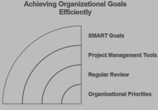 Implemented strategies to achieve organisational goal