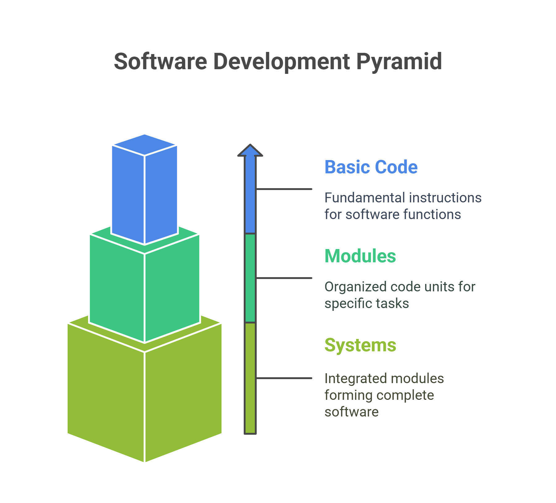 Key Differences of Coding vs Programming You Need to Know