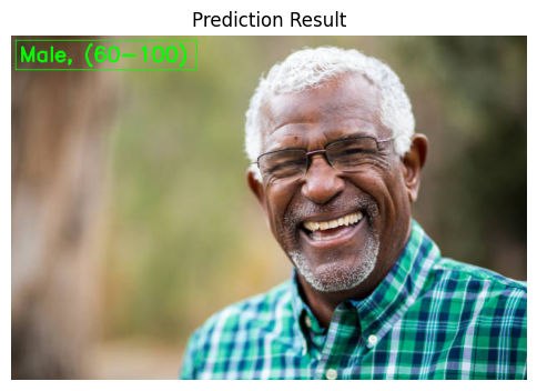 Prediction result