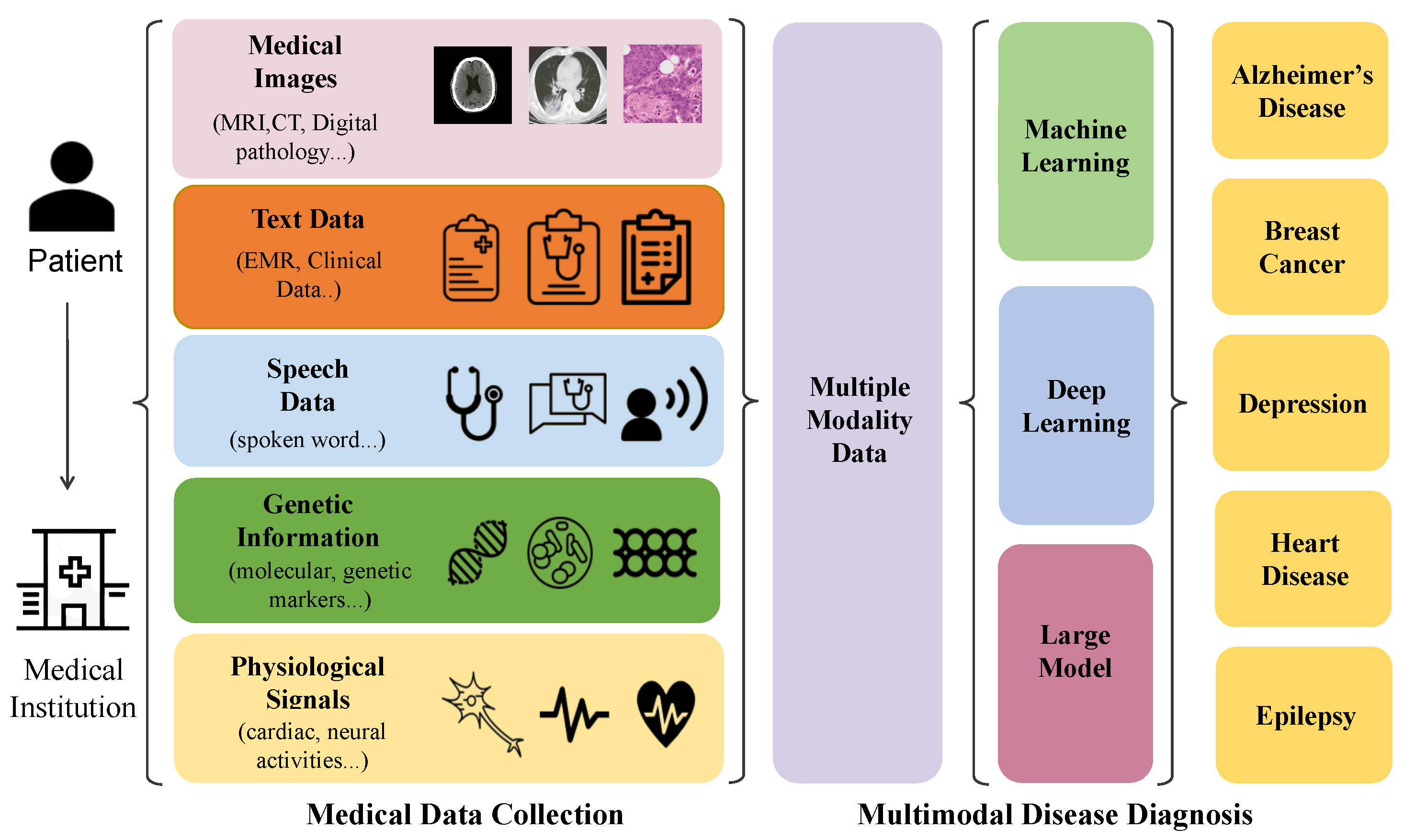 Healthcare and Medical Diagnostics