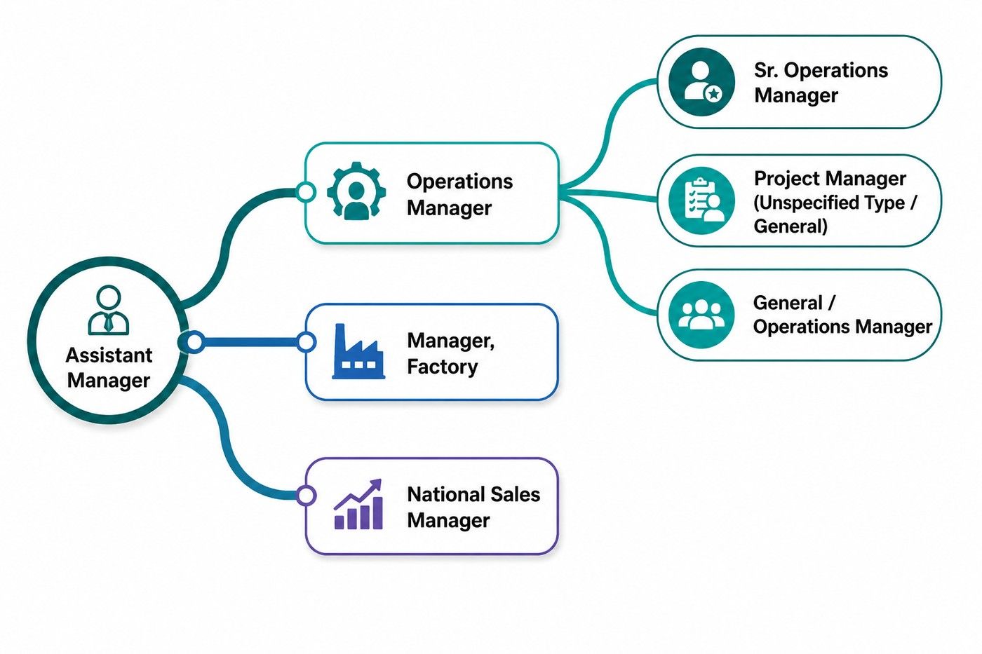 Career progression infographic showing Assistant Manager branching into Operations Manager, Manager Factory, and National Sales Manager, with Operations Manager leading to Senior Operations Manager, Project Manager, and General Operations Manager. Career progression infographic showing Assistant Manager branching into Operations Manager, Manager Factory, and National Sales Manager, with Operations Manager leading to Senior Operations Manager, Project Manager, and General Operations Manager.