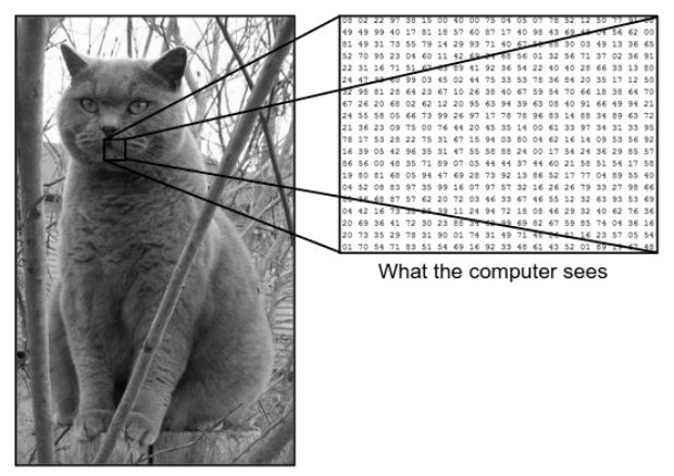 What We See Vs What the Computer Sees What We See Vs What the Computer Sees