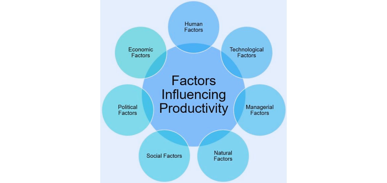 Factors affecting Productivity Factors affecting Productivity