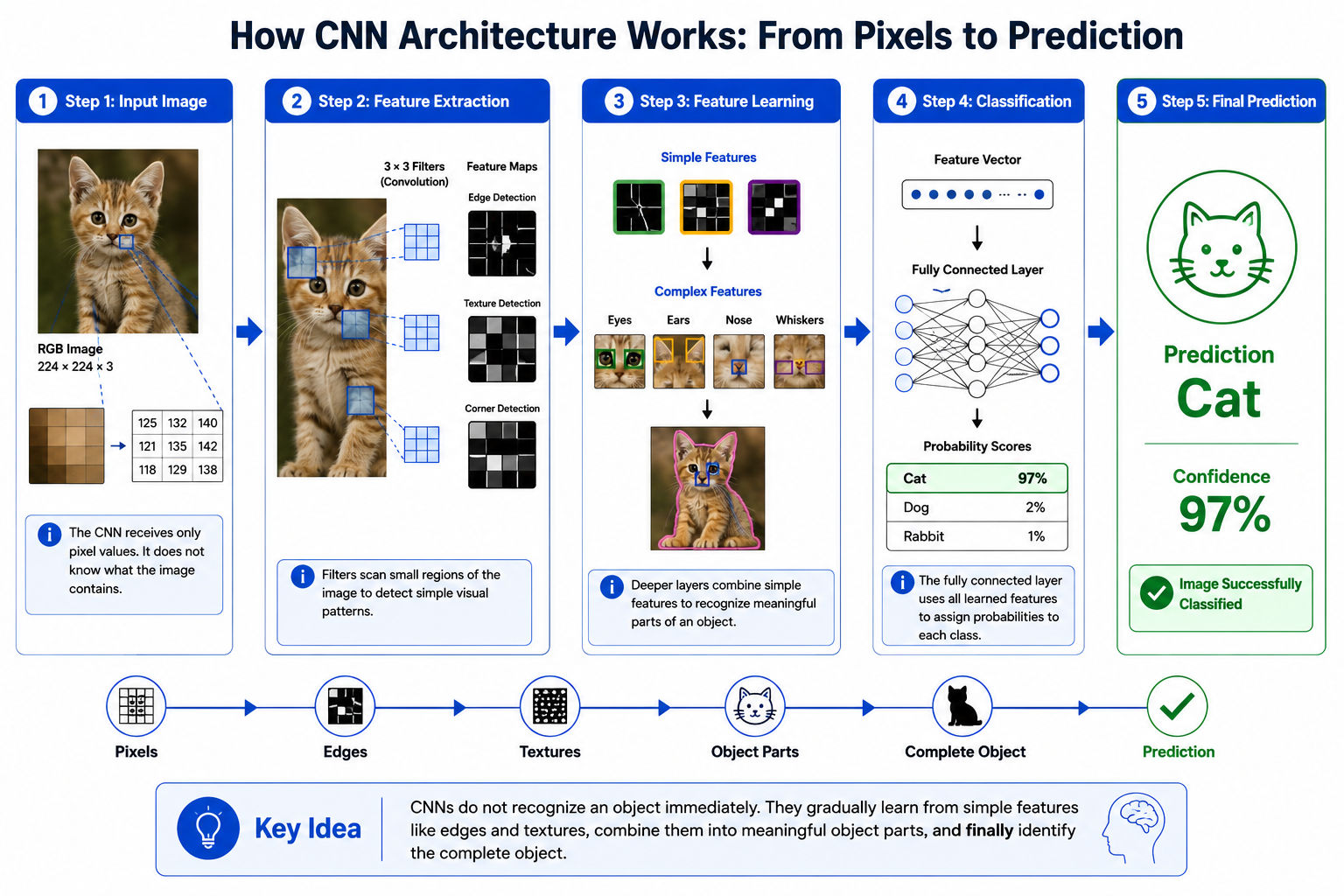 How Does the Architecture of CNN Works?