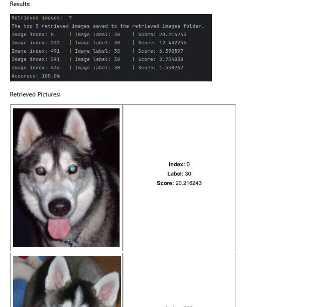 Retrieval of Data Using Image Analytic Retrieval of Data Using Image Analytic