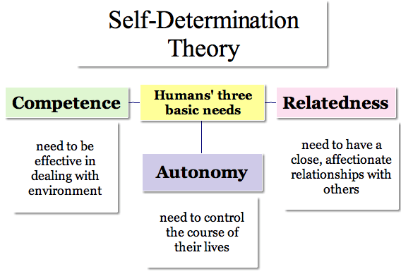 Self-Determination Theory (SDT) Self-Determination Theory (SDT)