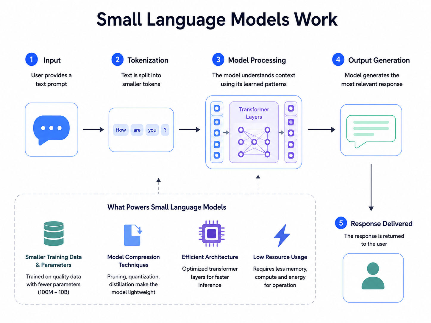 **Alt Text:** Infographic showing how Small Language Models work, from user input and tokenization to transformer-based processing and response generation, highlighting model compression, compact architecture, and low resource usage.