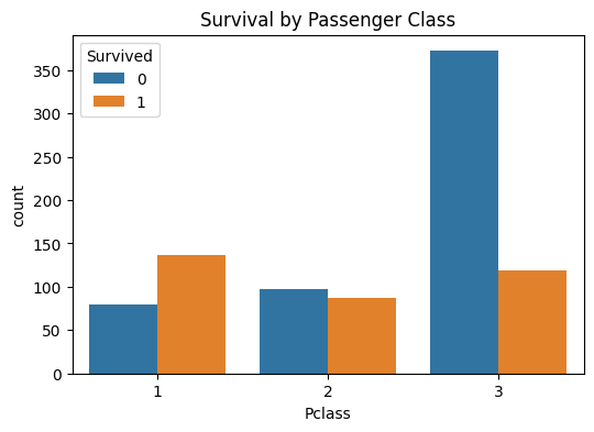 survival by passenger class survival by passenger class