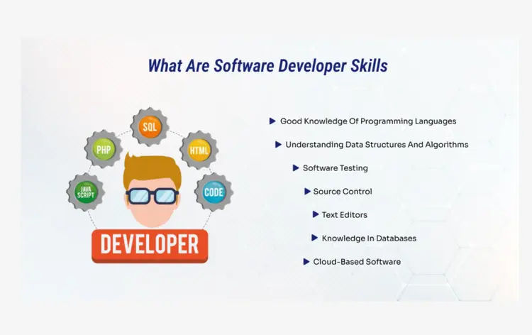 Which Role is Better Business Analyst Or Software Developer: Ultimate Showdown