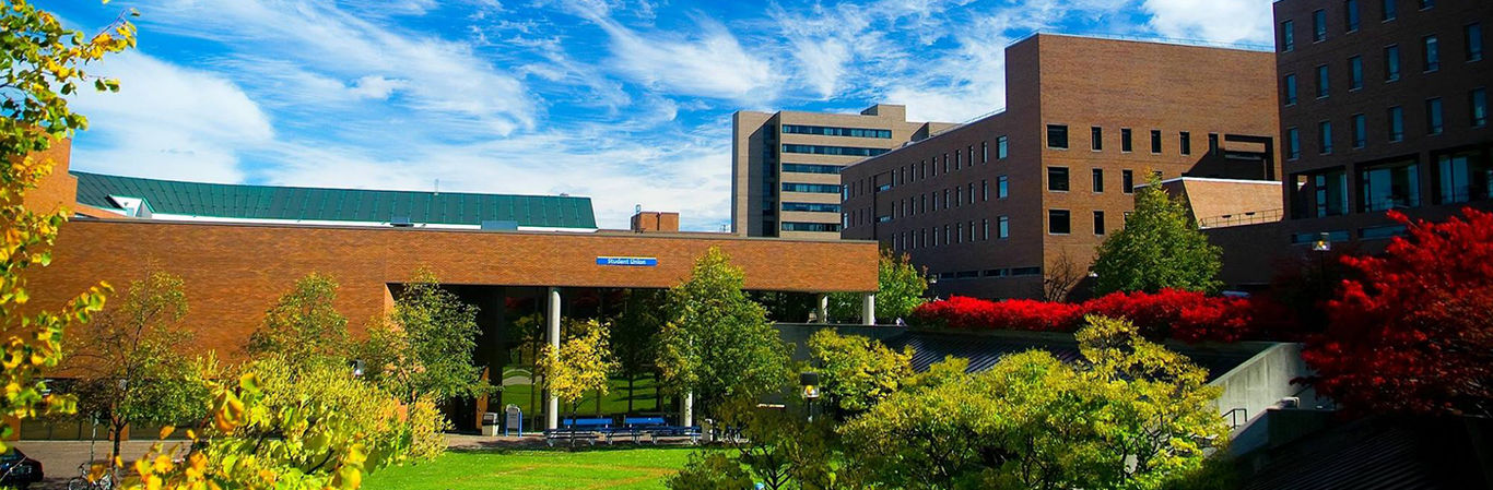 University at Buffalo University at Buffalo