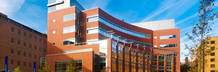 Thomas Jefferson University Thomas Jefferson University