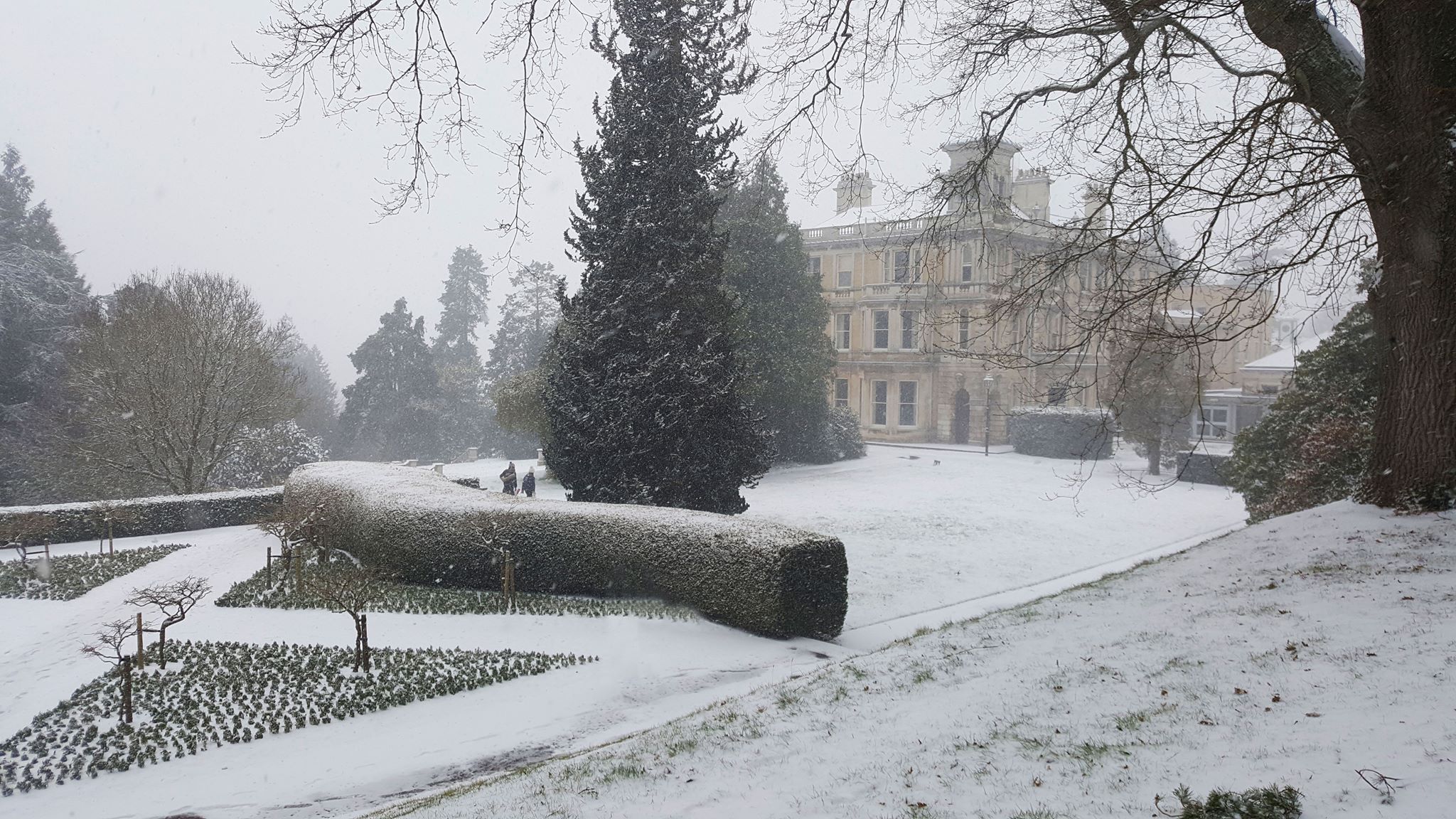 University of Exeter Admission 2023, Ranking , Acceptance rate, Fees