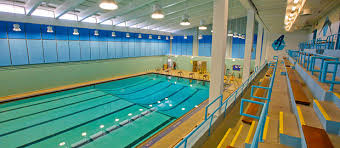 gallery img
