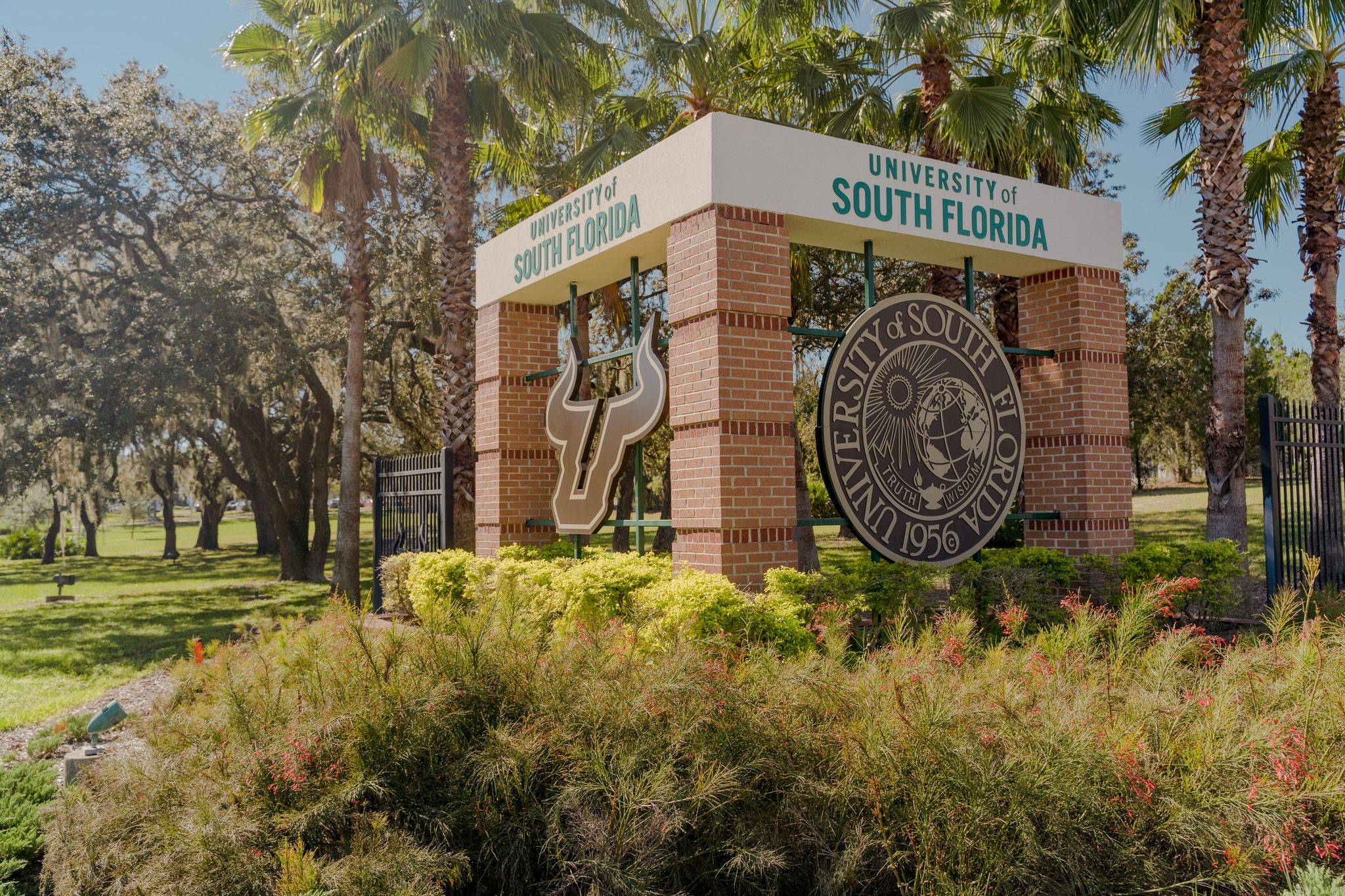 University of South Florida