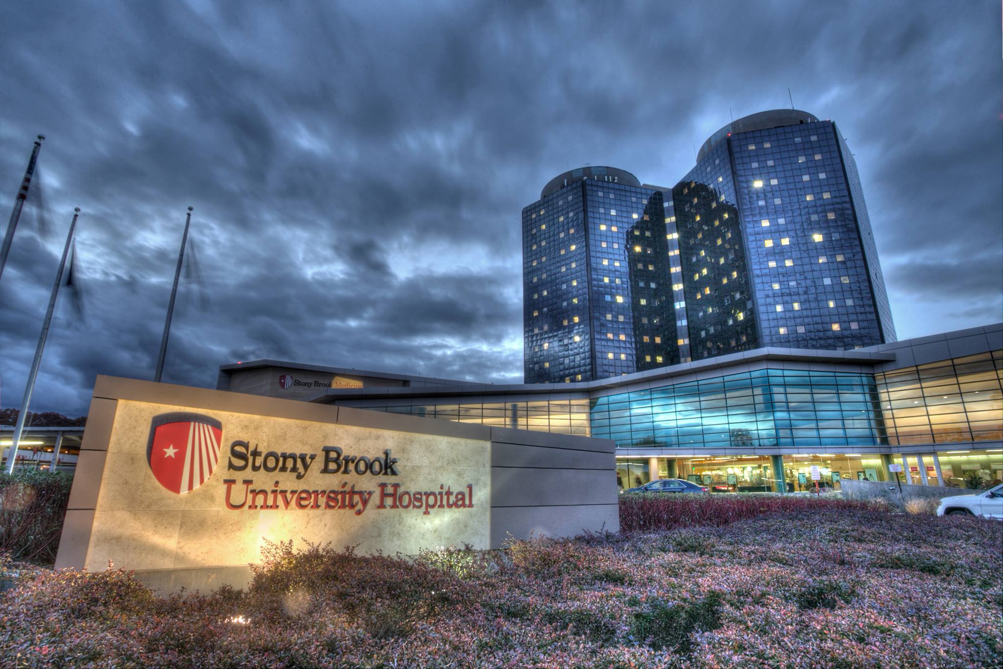 Stony Brook University : Admission 2023 Ranking Acceptance rate