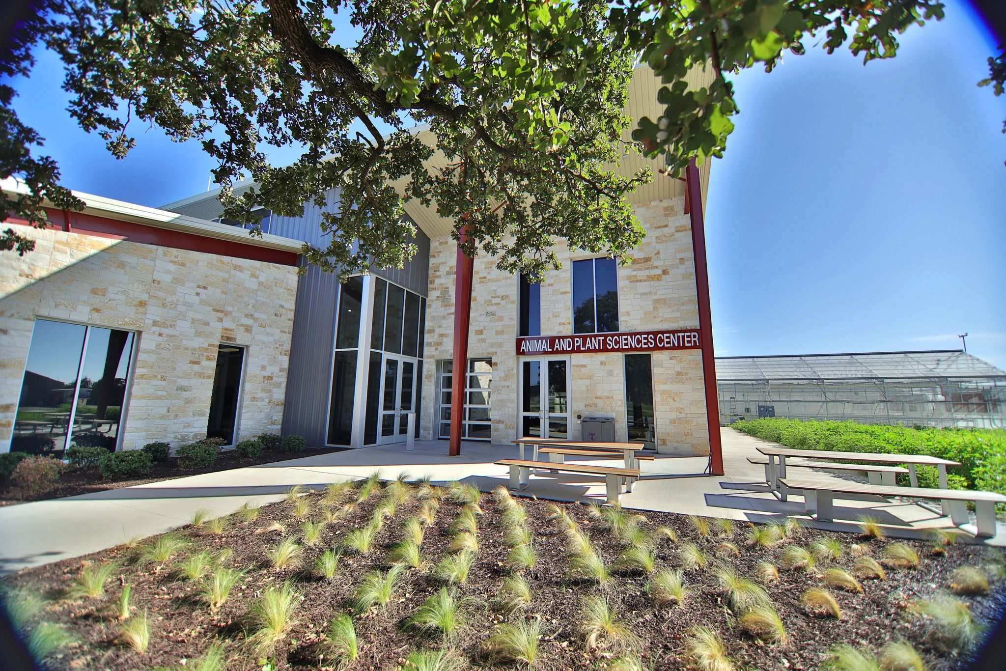 Tarleton State University : Admission 2023, Ranking , Acceptance rate