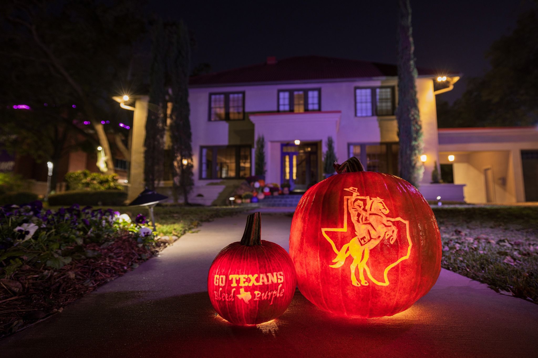 Tarleton State University : Admission 2023, Ranking , Acceptance rate