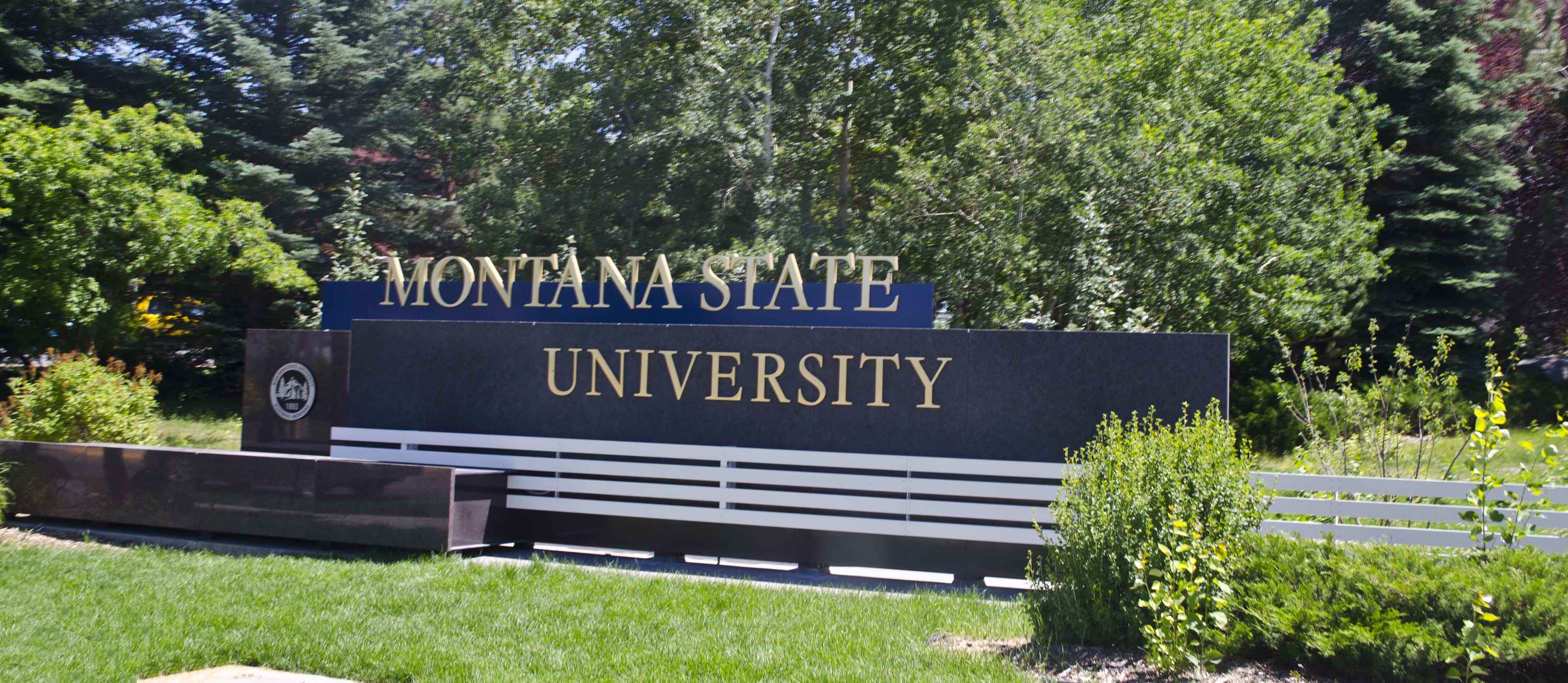Montana State University Admission 2023, Ranking , Acceptance rate